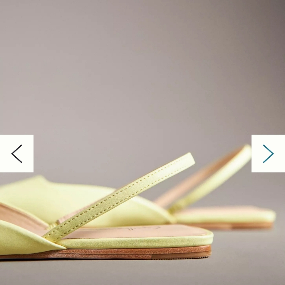 Anthropologie Guilhermina Leather Flats, sz. 8M. New, never worn. Taupe. - Picture 10 of 12